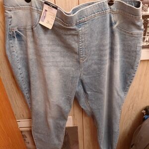 Terra & Sky Light Blue Women's Jeggings